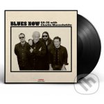 GA-20 - Blues Now LP – Hledejceny.cz