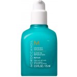 Moroccanoil Mending Infusion Repair 75 ml – Hledejceny.cz