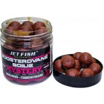 Jet Fish Boosterované Boilies Mystery Jahoda/Moruše 250ml 20mm – Zbozi.Blesk.cz