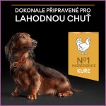 Purina Pro Plan Small & Mini Adult 9+ Age Defence kuře 14 kg – Hledejceny.cz