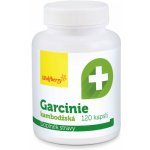 Wolfberry Garcinie kambodžská kapsle 120 kapslí – Hledejceny.cz