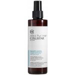 Collistar Hydratační kondicionér s kyselinou hyaluronovou Attivi Puri Hyaluronic Acid Liquid Conditioner 200 ml – Hledejceny.cz
