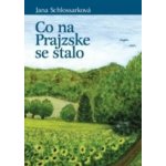 Co na Prajzske se stalo – Hledejceny.cz