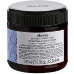 Davines Alchemic conditioner For Natural & Coloured Hair Copper Silver studené blond 250 ml – Zboží Mobilmania