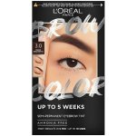 L'Oréal Paris Brow Color Semi-Permanent Eyebrow Tint 5.0 Brunette 1 ml – Hledejceny.cz