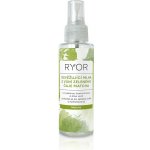 Ryor Osvěžující mlha s vůní zeleného čaje Matcha 100 ml – Hledejceny.cz