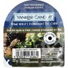 Vonný vosk Yankee Candle Wax Melt Single Silver Sage & Pine Vonný vosk 22 g