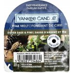 Yankee Candle Wax Melt Single Silver Sage & Pine Vonný vosk 22 g – Hledejceny.cz