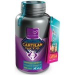 Altervet Cartilan Base K2+D3 135 g 100 tbl – Hledejceny.cz