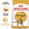 Granule pro kočky Royal Canin Bengal 2 kg