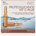 Praxis Proteoglicanos Vit C Plus Ampulky s vitamínem C 6 x 2 ml – Hledejceny.cz