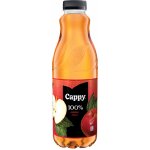 Cappy Jablko 250 ml – Sleviste.cz