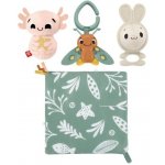 Fisher Price dárkový set senzorických hraček HRB17 – Hledejceny.cz