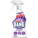 Cillit Bang Bleach & Hygiene univerzální čistič pro bělení a čistotu 750 ml rozprašovač – Zboží Dáma