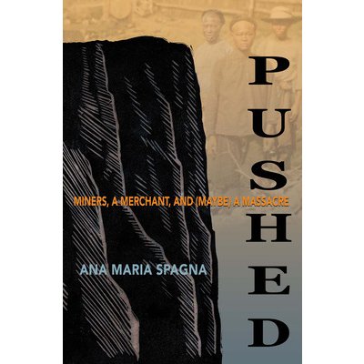 Pushed: Miners, a Merchant, and Maybe a Massacre Spagna Ana MariaPaperback – Hledejceny.cz