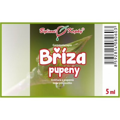 Bylinné kapky Gemmoterapie Bříza pupeny tinktura z pupenů 5 ml – Hledejceny.cz