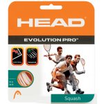 Head Evolution Pro 10m 1,30mm – Hledejceny.cz