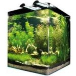 Dennerle akvárium NanoCube 60 l – Zbozi.Blesk.cz