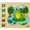 Dřevěná hračka Tooky Toys Vícevrstvé puzzle Životní cyklus žáby