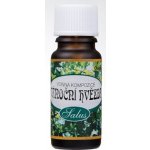 Saloos Vonný olej do aromalamp Vánoční hvězda 10 ml – Hledejceny.cz