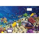 Reas Pack Sešit 544 A5 linkovaný 40l 3D MIX – Hledejceny.cz