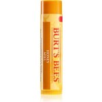 BURT'S BEES Balzám na rty z včelího vosku 4,25 g – Hledejceny.cz