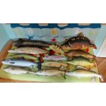 Gaby polštářek ryba Pstruh potoční 62 cm – Hledejceny.cz