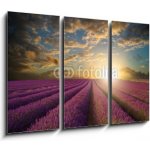 Obraz 3D třídílný - 105 x 70 cm - Vibrant Summer sunset over lavender field landscape Vibrantní letní západ slunce nad levandule krajiny – Hledejceny.cz