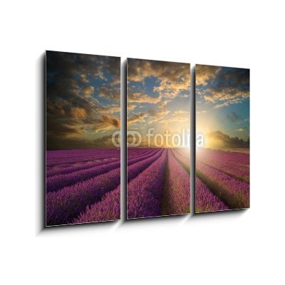 Obraz 3D třídílný - 105 x 70 cm - Vibrant Summer sunset over lavender field landscape Vibrantní letní západ slunce nad levandule krajiny – Hledejceny.cz