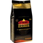 Inkospor X-Treme Weight Gainer 1200 g – Hledejceny.cz