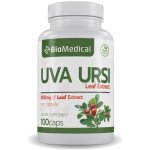 Uva Ursi Extract Medvědice lékařská kapsle 100 kapslí – Hledejceny.cz