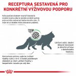 Royal Canin Veterinary Diet Cat Diabetic 1,5 kg – Zbozi.Blesk.cz