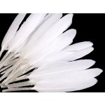 Kachní peří (5ks), bílá, délka 9-14 cm – Hledejceny.cz