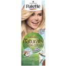 Pallete Permanent Natural Colors č. 100 skandinávská blond