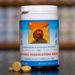 TCM Herbs Zpevnění podemletého břehu 100 tablet – Hledejceny.cz