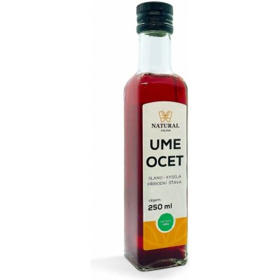 Natural Jihlava Ume Ocet 250ml – Hledejceny.cz