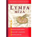 Lymfa míza – Hledejceny.cz