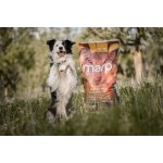 Marp Holistic Grain Free Lamb 12 kg – Sleviste.cz