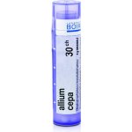 ALLIUM CEPA POR 30CH GRA 1X4G – Hledejceny.cz