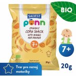 Salvest Ponn BIO mangové křupky 20 g – Hledejceny.cz