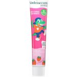 Vademecum Junior Fresh Strawberry dětská zubní pasta 6+ let 75 ml – Hledejceny.cz