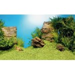 Juwel pozadí Poster 1 L Plant Reef 100 x 50 cm – Zbozi.Blesk.cz