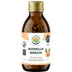 Salvia Paradise Boswellia serrata kadidlovník 120 kapslí – Hledejceny.cz