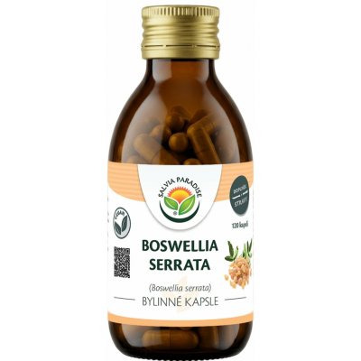 Salvia Paradise Boswellia serrata kadidlovník 120 kapslí – Hledejceny.cz