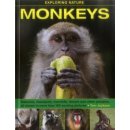 Monkeys - Jackson Tom