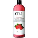 Esthetic house CP-1 - raspberry treatment vinegar Vlasový kondicionér s malinovým octem 500 ml – Hledejceny.cz