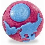 Planet Dog USA Orbee-Tuff Zeměkoule S 5,5 cm – Zboží Dáma