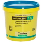 Webertec 915 pulver komponente Urychlovač tuhnutí 2 kg – Zboží Mobilmania