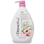 Dermomed Tekutý pudr & kosatec sprchový gel s dávkovačem 1 l – Zboží Dáma