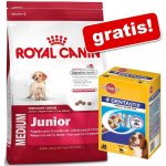 Royal Canin Maxi Ageing 8+ 15 kg – Hledejceny.cz